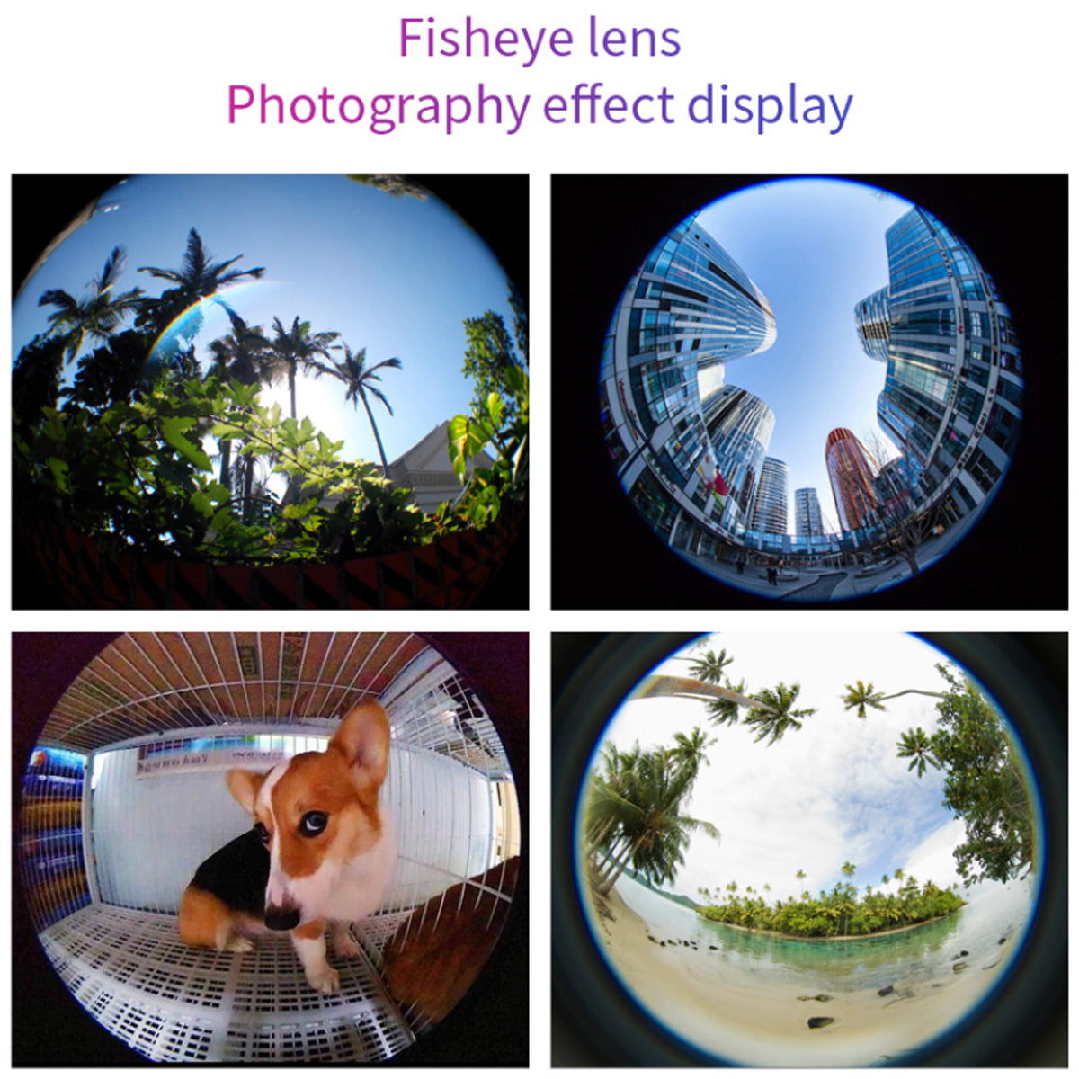 12 in 1 4K Photography Bundle Vista Shops