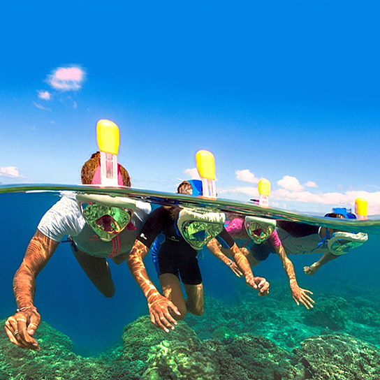 Full Face Snorkel Mask Vista Shops