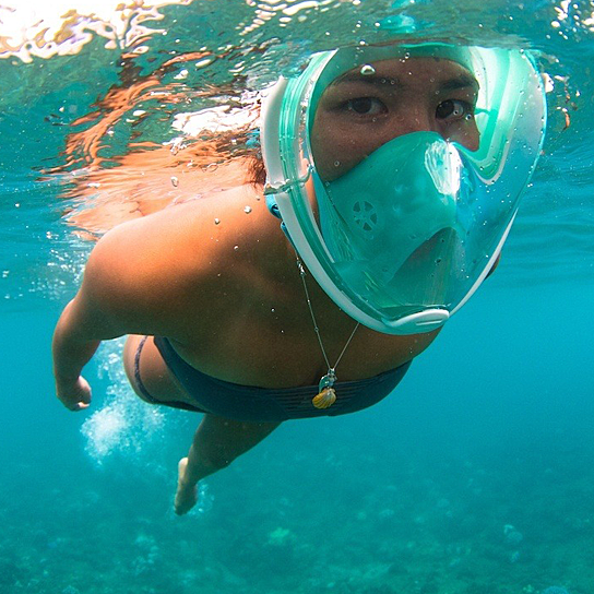 Full Face Snorkel Mask Vista Shops