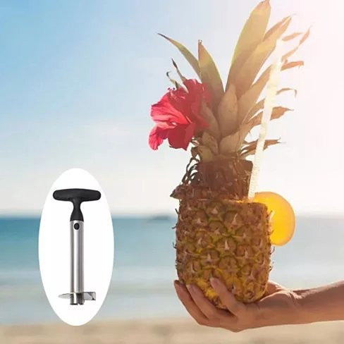 Pretty Prickly Pineapple Peeler The 4P Tool Vista Shops