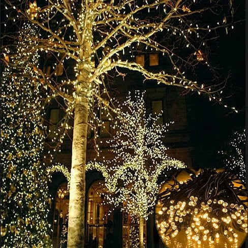 Firefly Solar mini LED Christmas lights on String Vista Shops