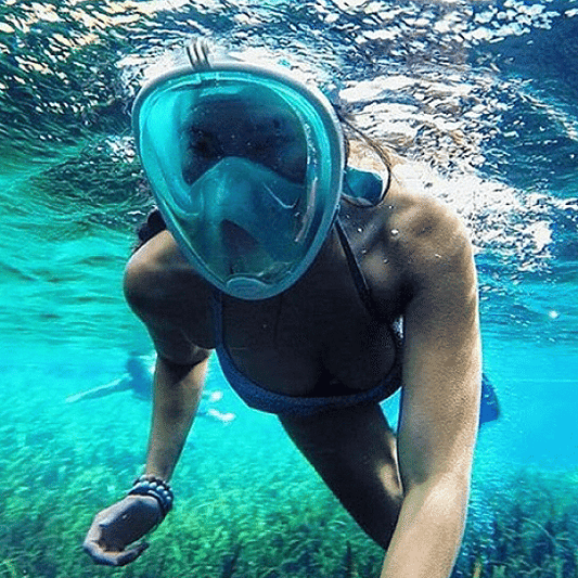 Full Face Snorkel Mask Vista Shops